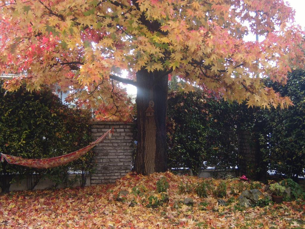 Bed & Breakfast Agli Aceri Verona Rum bild